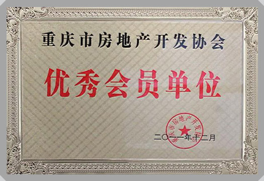 房地產(chǎn)資質及榮譽