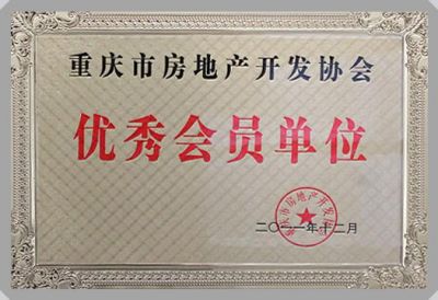 房地產(chǎn)資質及榮譽